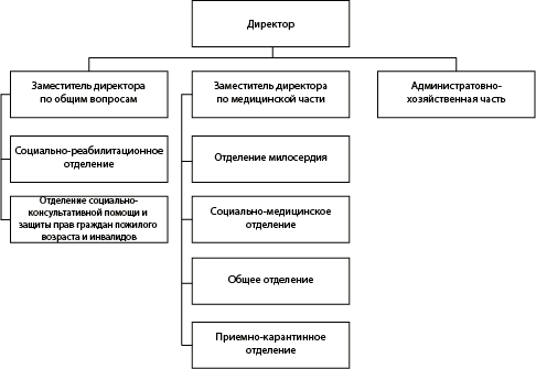 Структура ГБУ «Понетаевский психоневрологический интернат»